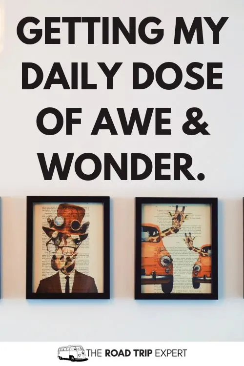 Museum Captions for Instagram