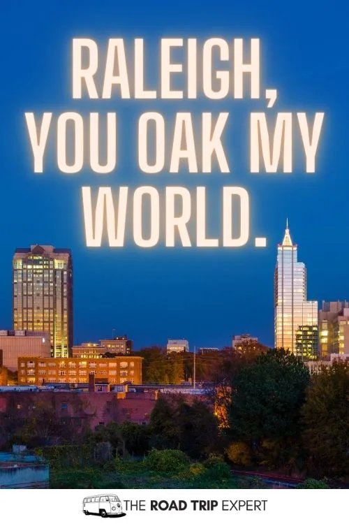 Raleigh Puns for Instagram