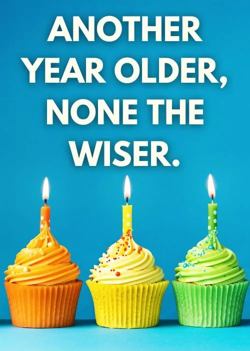 25th Birthday Captions