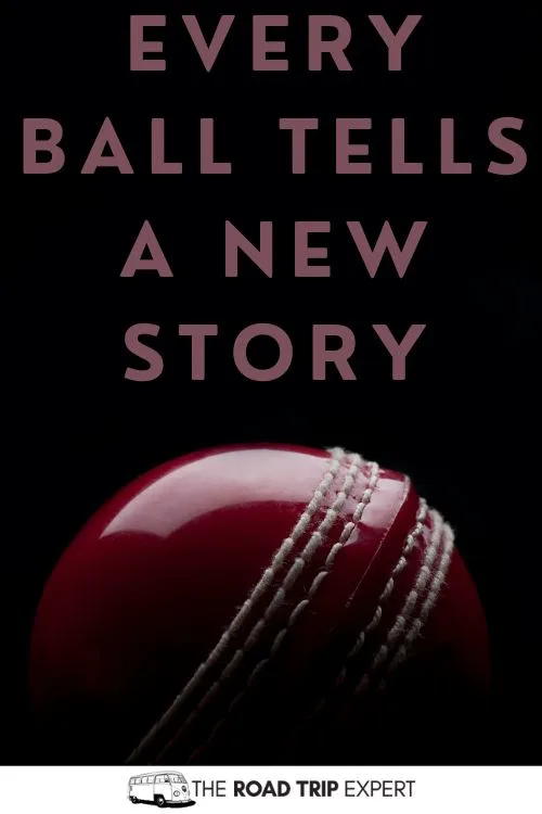 Captions for Cricket