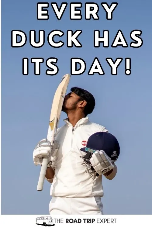 Cricket Instagram Captions