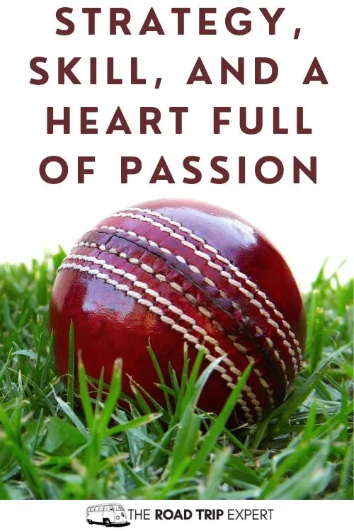 Cricket Puns for Instagram