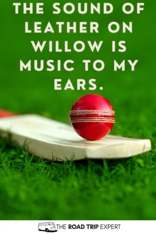 Cricket Quotes