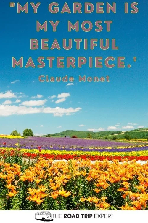Funny Gardening Quotes