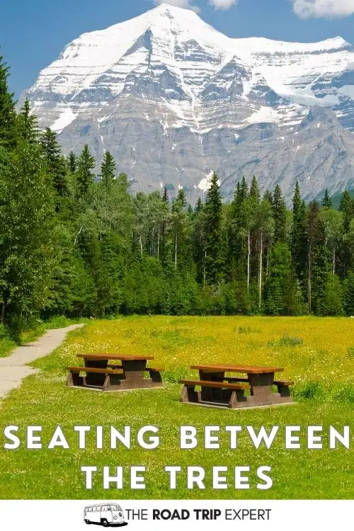 Funny picnic captions