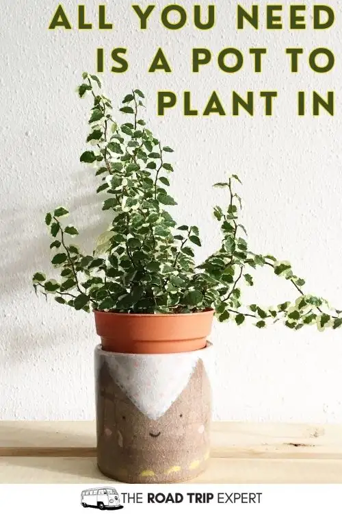 Garden Puns for Instagram