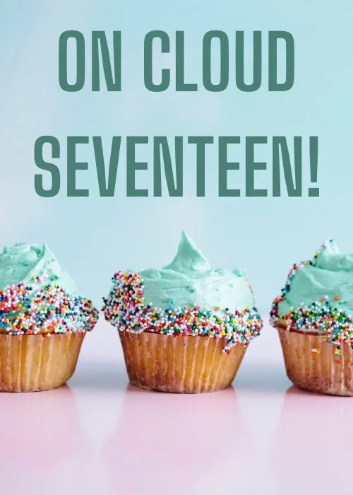 Insta Captions for 17th Birthday