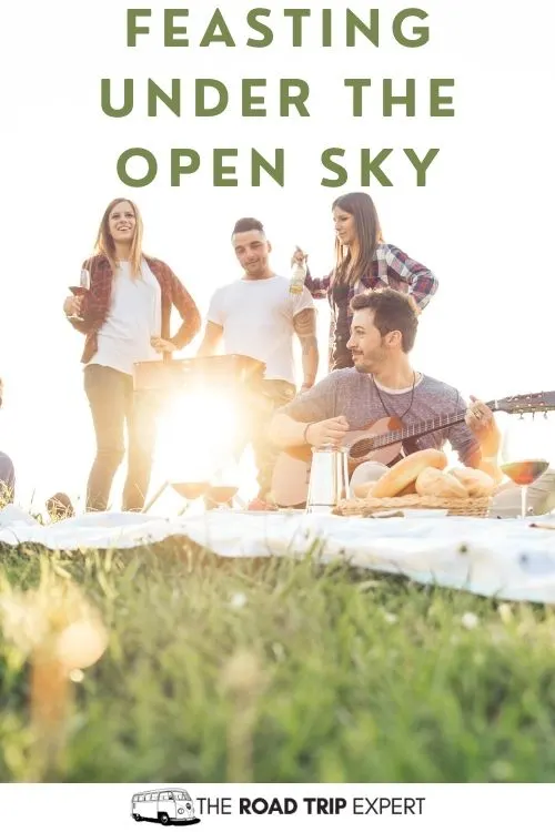 Picnic captions for Instagram