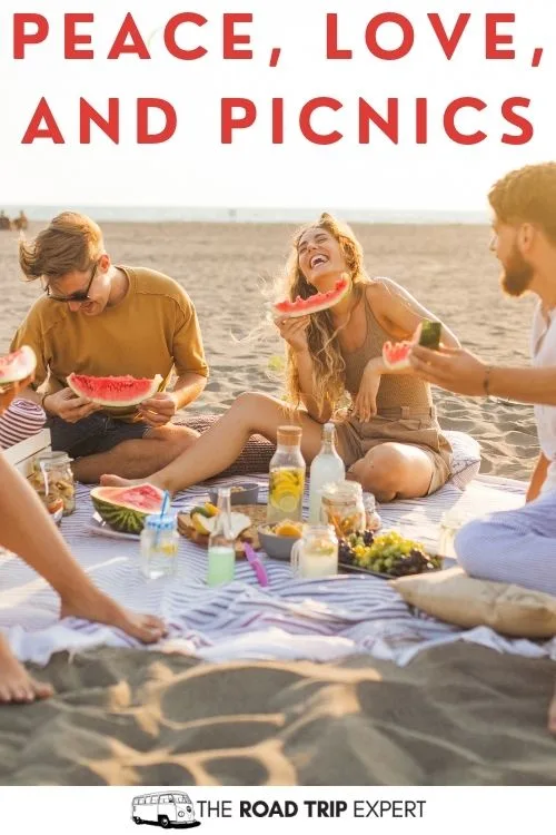 Picnic Instagram captions
