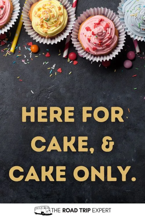 Quotes About Turning 17