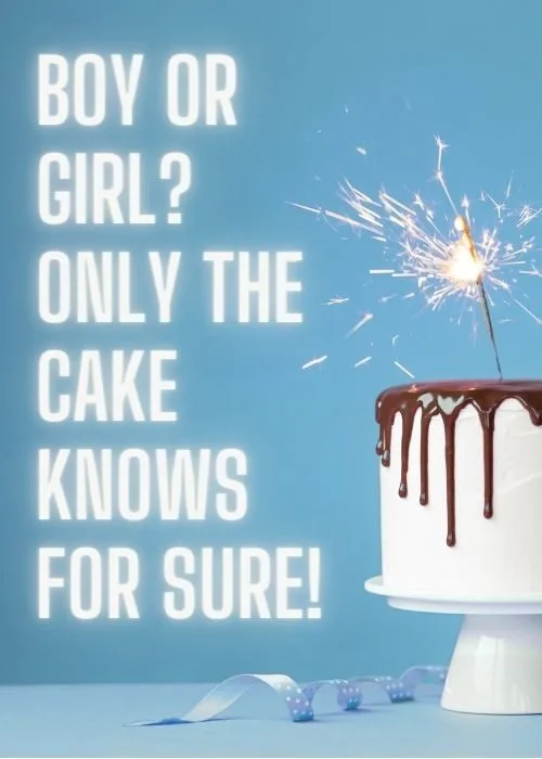 Gender Announcement Instagram Captions