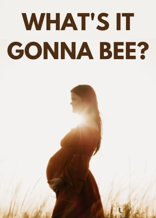 Gender Reveal Captions