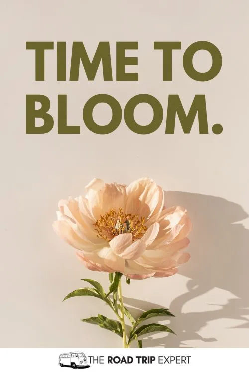 Healing Captions for Instagram
