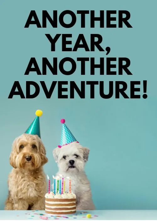 Birthday Captions for Instagram