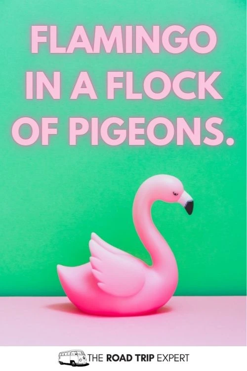 Pink Outfit Captions