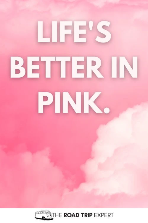 Pretty in Pink Captions