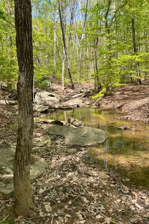 Maryland Instagram Picture