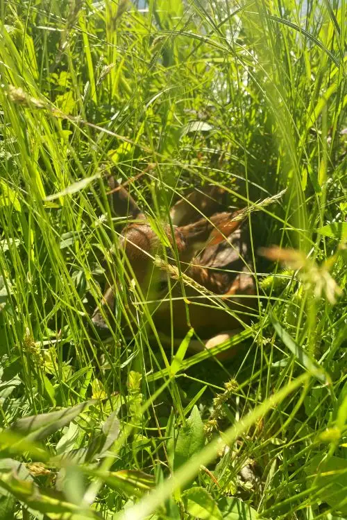 Virginia Instagram Picture